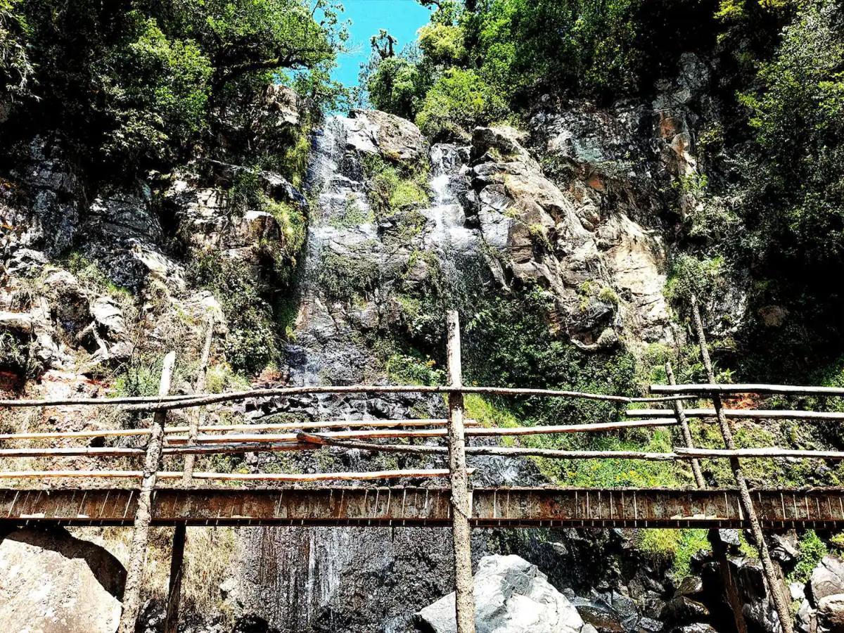 Cabana Para Pareja En El Bosque Ib Acaxochitlán Esterno foto